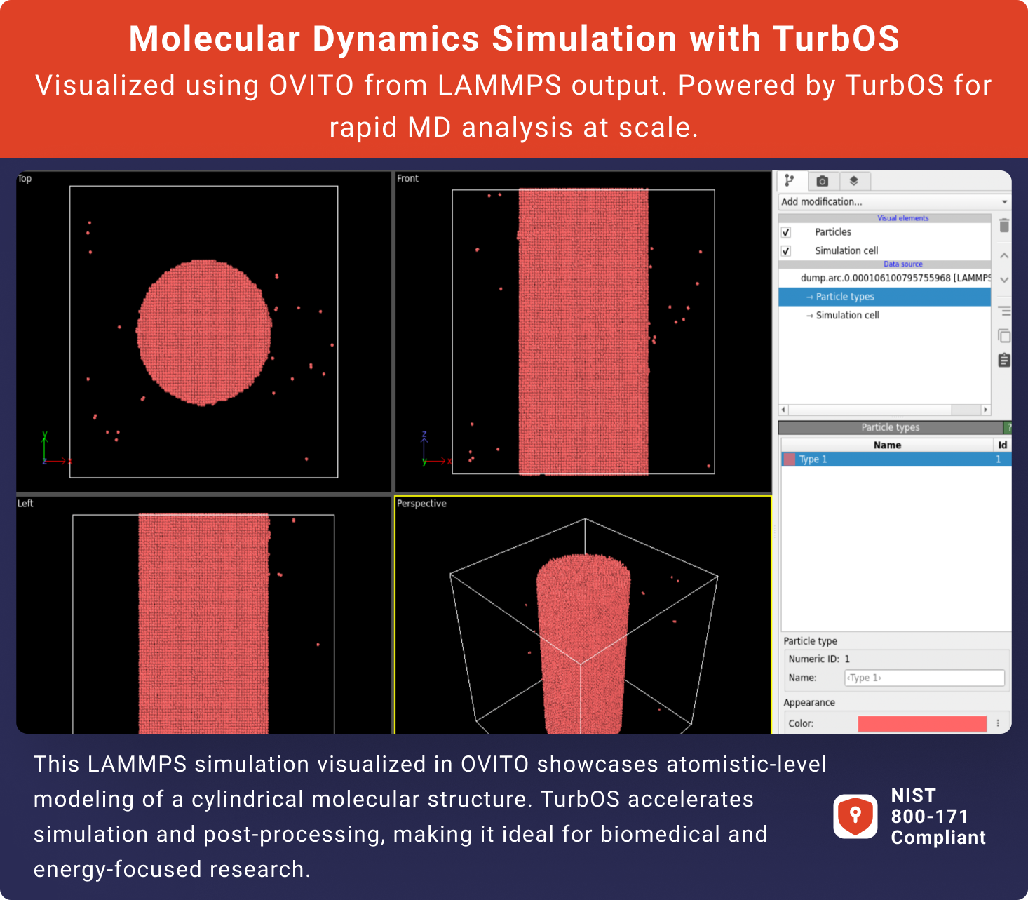Biomedical Simulations